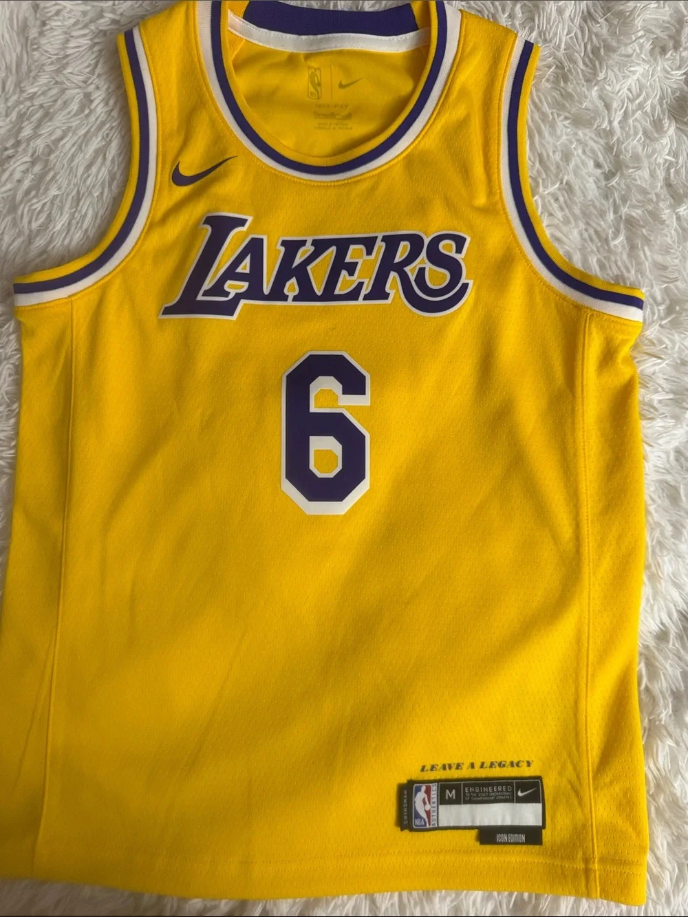 Nike Lakers Purple and Yellow #6 Basketball Jersey